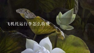 飞机托运行李怎么收费 飞机托运行李怎么收费
