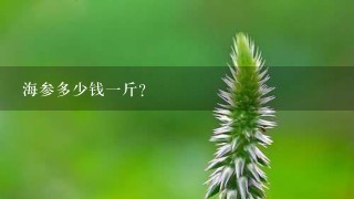 海参多少钱1斤? 海参多少钱1斤?