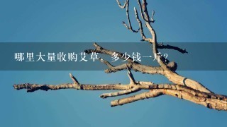 哪里大量收购艾草,多少钱1斤? 哪里大量收购艾草,多少钱1斤?