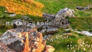 烤全羊熟了1斤多少斤? 烤全羊熟了1斤多少斤?