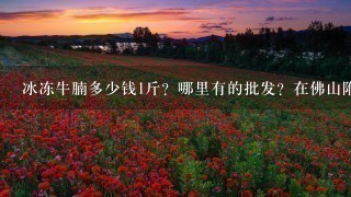 冰冻牛腩多少钱1斤?哪里有的批发?在佛山附近。 冰冻牛腩多少钱1斤?哪里有的批发?在佛山附近。