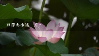豆芽多少钱1斤? 豆芽多少钱1斤?
