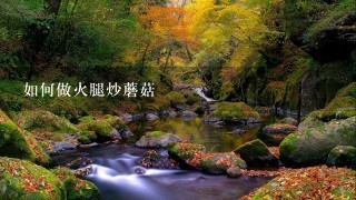 如何做火腿炒蘑菇 如何做火腿炒蘑菇