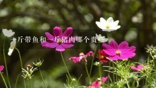 1斤带鱼和1斤猪肉哪个贵些 1斤带鱼和1斤猪肉哪个贵些