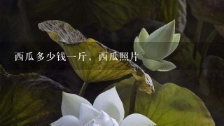 西瓜多少钱1斤,西瓜照片 西瓜多少钱1斤,西瓜照片