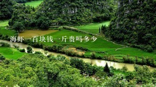 海虾1百块钱1斤贵吗多少 海虾1百块钱1斤贵吗多少