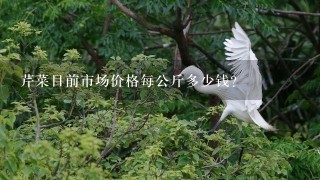 芹菜目前市场价格每公斤多少钱? 芹菜目前市场价格每公斤多少钱?