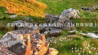 求助!我想开家云南米线店,请问有谁知道上海哪里有湿米线批发? 求助!我想开家云南米线店,请问有谁知道上海哪里有湿米线批发?
