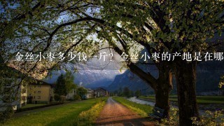 金丝小枣多少钱1斤?金丝小枣的产地是在哪里? 金丝小枣多少钱1斤?金丝小枣的产地是在哪里?