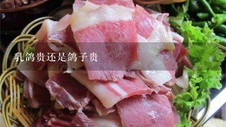 乳鸽贵还是鸽子贵 乳鸽贵还是鸽子贵
