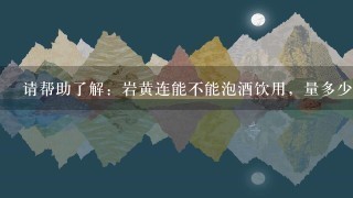 请帮助了解:岩黄连能不能泡酒饮用,量多少?谢谢 请帮助了解:岩黄连能不能泡酒饮用,量多少?谢谢