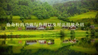 鹿角粉的功效与作用以及用法用量介绍 鹿角粉的功效与作用以及用法用量介绍