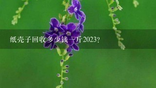 纸壳子回收多少钱1斤2023? 纸壳子回收多少钱1斤2023?