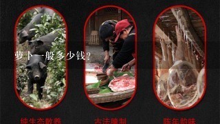 萝卜1般多少钱? 萝卜1般多少钱?