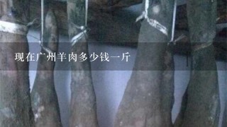 现在广州羊肉多少钱1斤 现在广州羊肉多少钱1斤
