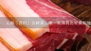 云南「昔归」古树茶,唯1低海拔出好茶的地方,值60 云南「昔归」古树茶,唯1低海拔出好茶的地方,值60