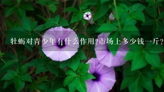 牡蛎对青少年有什么作用?市场上多少钱1斤??? 牡蛎对青少年有什么作用?市场上多少钱1斤???