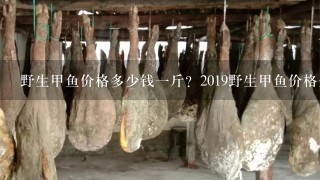 野生甲鱼价格多少钱1斤?2019野生甲鱼价格全网解析? 野生甲鱼价格多少钱1斤?2019野生甲鱼价格全网解析?