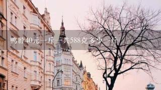 鸭脖40元1斤1共588克多少1斤 鸭脖40元1斤1共588克多少1斤