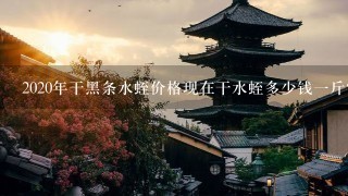 2020年干黑条水蛭价格现在干水蛭多少钱1斤? 2020年干黑条水蛭价格现在干水蛭多少钱1斤?
