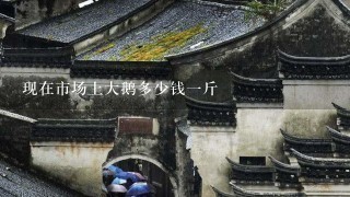 现在市场上大鹅多少钱1斤 现在市场上大鹅多少钱1斤