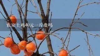 农家土鸡40元1斤贵吗 农家土鸡40元1斤贵吗