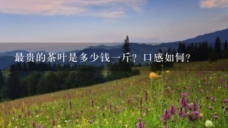 最贵的茶叶是多少钱1斤?口感如何? 最贵的茶叶是多少钱1斤?口感如何?