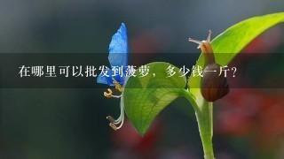 在哪里可以批发到菠萝,多少钱1斤? 在哪里可以批发到菠萝,多少钱1斤?