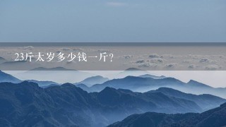 23斤太岁多少钱1斤? 23斤太岁多少钱1斤?