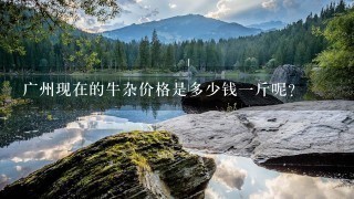 广州现在的牛杂价格是多少钱1斤呢? 广州现在的牛杂价格是多少钱1斤呢?