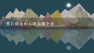 黑石斑鱼和石斑鱼哪个贵 黑石斑鱼和石斑鱼哪个贵