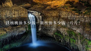 铁核桃油多少钱1新核油多少钱1斤斤? 铁核桃油多少钱1新核油多少钱1斤斤?