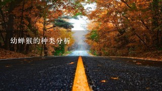 幼蝉猴的种类分析 幼蝉猴的种类分析