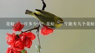 花蛤,1斤多少钱?花蛤,1斤能有几个花蛤? 花蛤,1斤多少钱?花蛤,1斤能有几个花蛤?