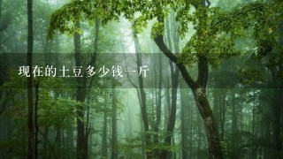 现在的土豆多少钱1斤 现在的土豆多少钱1斤