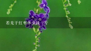 若羌干红枣多少钱1斤 若羌干红枣多少钱1斤