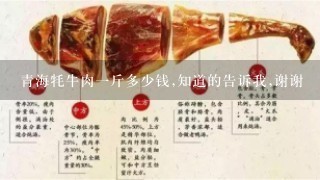 青海牦牛肉1斤多少钱,知道的告诉我,谢谢 青海牦牛肉1斤多少钱,知道的告诉我,谢谢