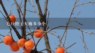 7斤橙子大概多少个 7斤橙子大概多少个