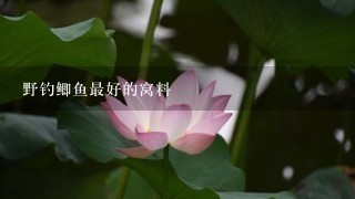 野钓鲫鱼最好的窝料 野钓鲫鱼最好的窝料