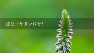 红豆1斤多少钱呀? 红豆1斤多少钱呀?