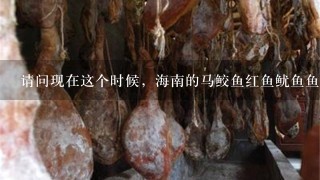 请问现在这个时候,海南的马鲛鱼红鱼鱿鱼鱼干,都是 请问现在这个时候,海南的马鲛鱼红鱼鱿鱼鱼干,都是