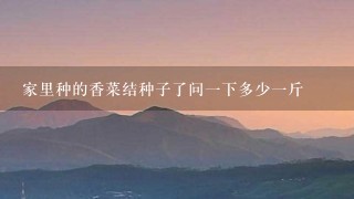 家里种的香菜结种子了问1下多少1斤