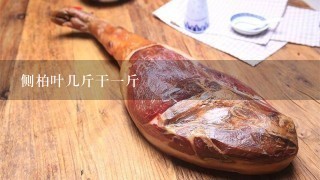 侧柏叶几斤干1斤 侧柏叶几斤干1斤