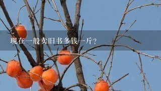 现在1般卖旧书多钱1斤? 现在1般卖旧书多钱1斤?