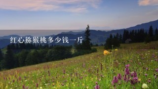 红心猕猴桃多少钱1斤 红心猕猴桃多少钱1斤