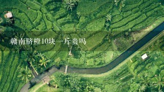赣南脐橙10块1斤贵吗 赣南脐橙10块1斤贵吗