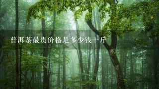 普洱茶最贵价格是多少钱1斤 普洱茶最贵价格是多少钱1斤