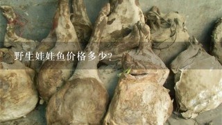 野生娃娃鱼价格多少? 野生娃娃鱼价格多少?