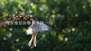 现在废铝价格多少钱1斤 现在废铝价格多少钱1斤