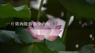 1斤猪肉能做多少肉松 1斤猪肉能做多少肉松
